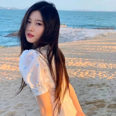 虎豹小霸王前集